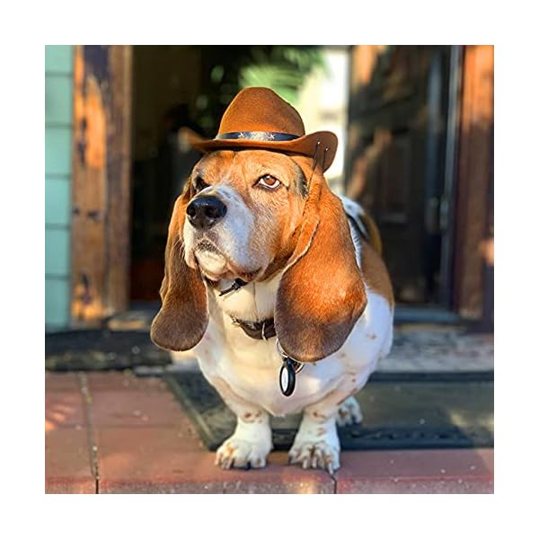 Awocan pet dog cowboy hat cosplay cap puppy pet dog cat holiday costume pet party decoration - image 5