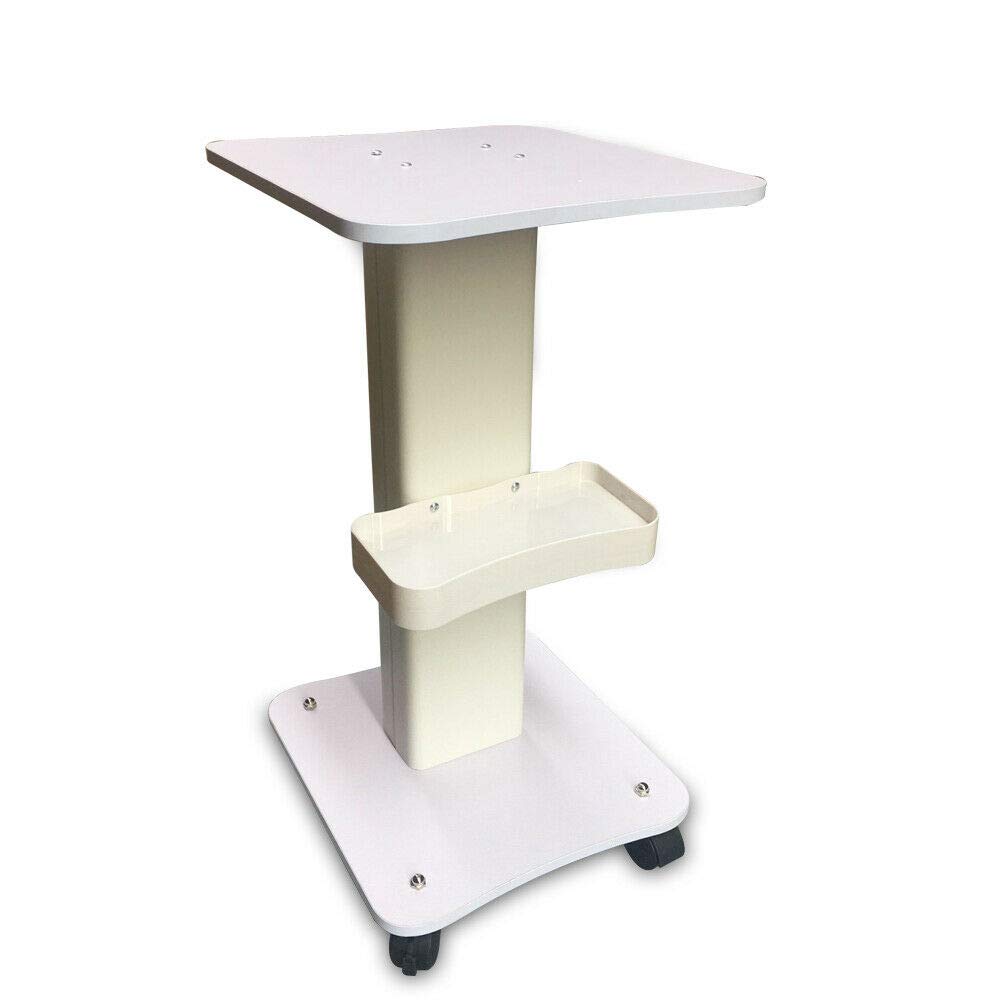 CDZHLTG Salon Trolley Wheel Stand, Professional Beauty Hair Rolling Trolley Cart, Salon Equipment Mobile Spa Service Instrument Hairdressing Storage Tray : Beauty & Personal Care