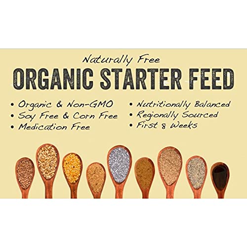 Scratch And Peck Feeds Organic Starter Mash Chick Feed - 10-Lbs - 20.5% Protein, Non-Gmo Project Verified, Naturally Free Chick Food #TOP2