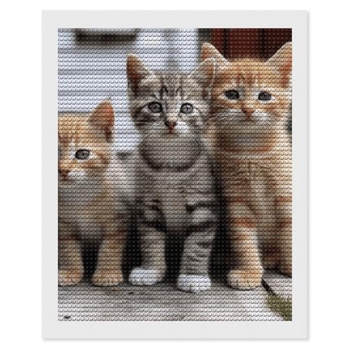 Kit de peinture diamant 5D chatons et famille de chats PNOMEDPKJ pour adultes