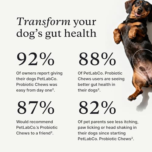 PetLab Co. Probiotics for Dogs, Support Gut Health, Occasional Diarrhea, Digestive Health & Seasonal Allergies - Pork Flavor - 30 Soft Chews - Packaging May Vary - Image 4