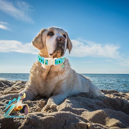 Collar para perro pequeño ajustable color tortugas marinas miniatura 5