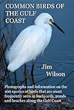 Common Birds of the Gulf Coast