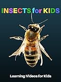 Insects for Kids: Learning Videos for Kids
