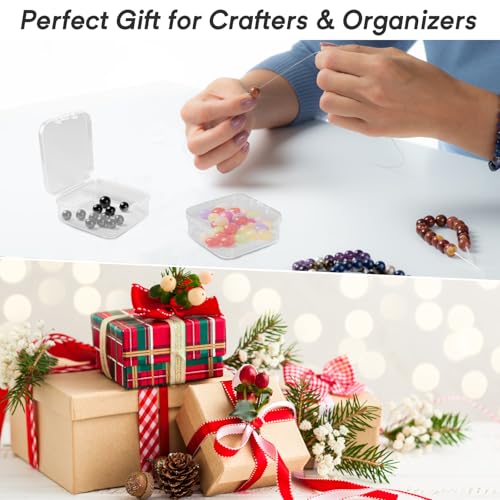 Bead Organizer Box – Small Bead Storage Containers, Mini Clear Plastic Storage Boxes with Hinged Lids, Rectangle Craft Case for Jewelry, DIY Beading, Nail Art, and Small Parts (62 PCS)