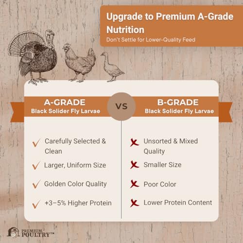 Black Soldier Fly Larvae for Chickens – High Calcium Chicken Treats for Strong Eggshells & Egg Production – Dried BSFL Grubs Poultry Feed for Ducks, Wild Birds & Backyard Flocks, 5lb - Image 6