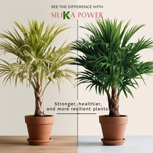 Fertilizante líquido premium de sílice para plantas 8 oz miniatura 3