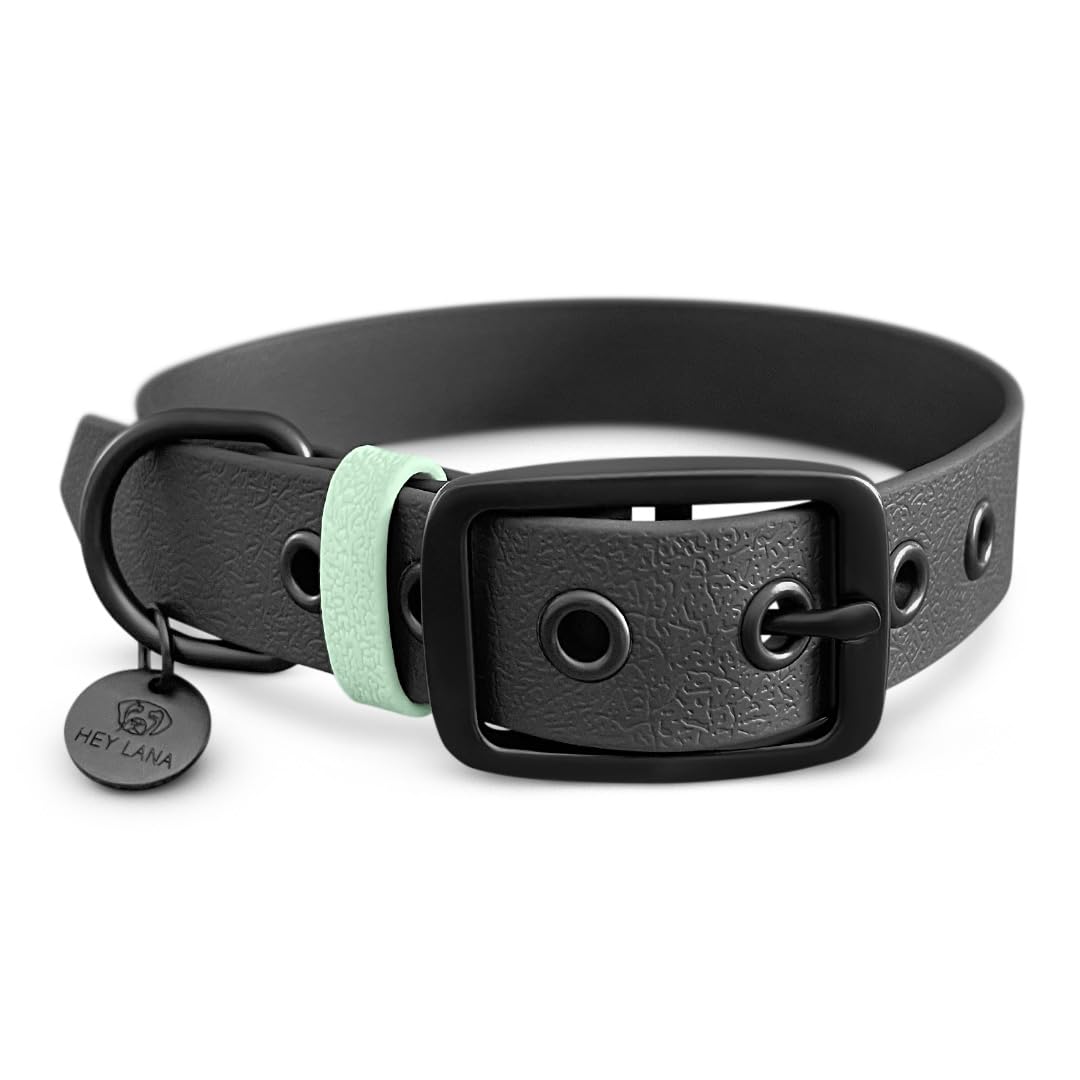 BioThane Collier Sport | Éducation pour chien | Bicolore | Imperméable | Très petits à très grands chiens | Élégant et sportif | Fabriqué en Allemagne (L (43-55 cm)