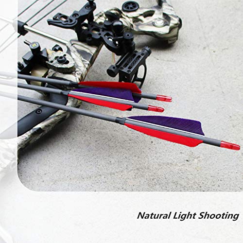 Zhanyi 6 Pack Target Hunting Archery Carbon Arrows 600 Spine 28 Inch With Real Feather Fletching For Compound Recurve Bows #TOP5