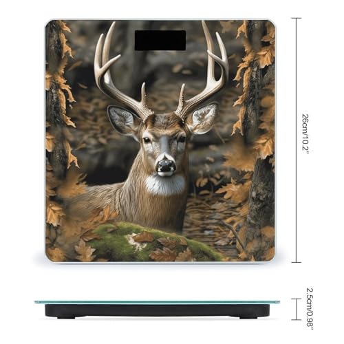 Báscula Digital De Baño Camuflaje Cuerpo 26x26 cm Vidrio Templado miniatura 2