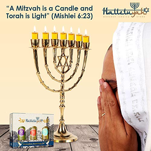 HalleluYAH Menorah 7 Branched Candelabra Plus Anointing Oil from Israel - Classic Star of David Design - Judeo-Christian Symbol - Made in Israel Made of Brass Copper - 11 Inches High - Thumbnail 2