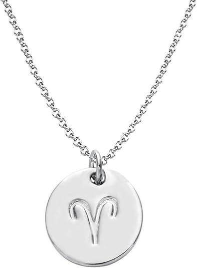 925 Sterling Silver Zodiac Necklace Disc Charm Necklace Gift for Your Wife Girlfriend or Family Member