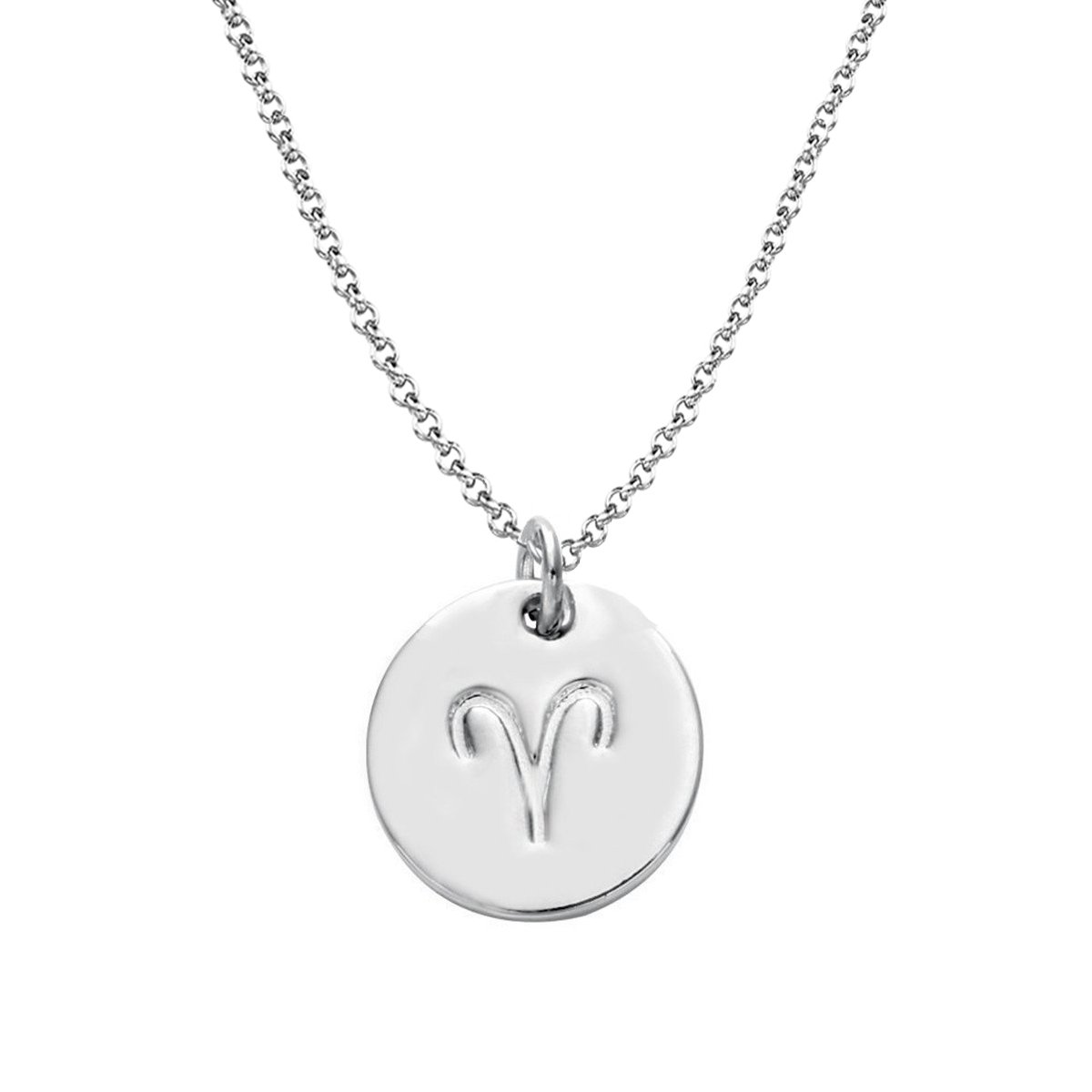925 Sterling Silver Zodiac Necklace Disc Charm Necklace Gift for Your Wife Girlfriend or Family Member