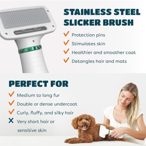 Image of 2 in 1 Pet Hair Dryer Brush for Dogs & Cats | Pet Grooming Slicker Brush with Adjustable Heat | Low Noise Deshedding Dryer Brush for Small, Medium & Large Pets | One Hand Grooming Tool