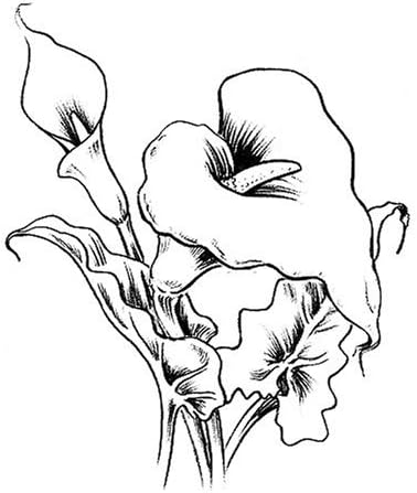 Muschio Naturale G&uuml;termann 250gr - Per Decorazioni, Presepi E Modellismo