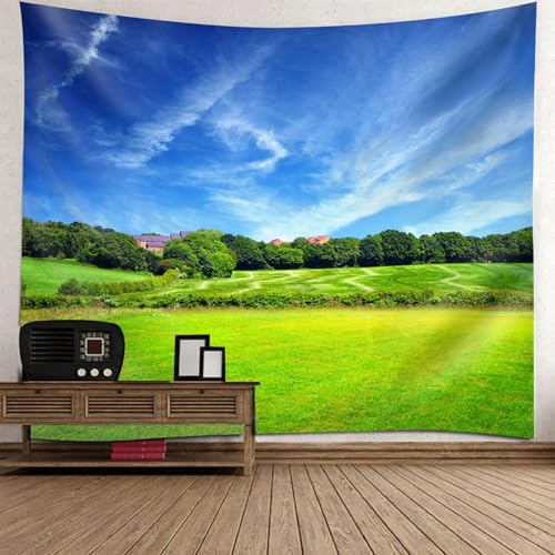 Tenture decoration murale salon tapisserie nature ciel bleu pelouse 150x150
