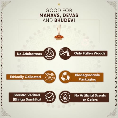 Image of Navgrah Samidha for Hawan & Pooja | Pack of 9 Sacred Woods | Natural & Chemical-Free | Shastra Sammat for Rituals & Hawan | Woods for Surya, Chandra, Mangal, Budh, Guru, Shani, Rahu and Ketu
