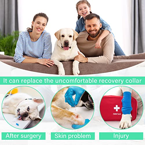 Image of Etdane Recovery Suit for Dogs Surgery Suit Female Spay Dog Surgical Recovery Suit Male Dog Onesie for Surgery Female Anti Licking Wounds Dog Shedding Suit Blue /XX-Large