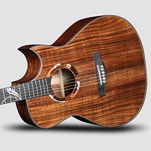 SheIRin Guitare Acoustique pour débutant Adulte Pleine Taille Cutaway Acustica Guitarra Bundle Kit avec Sac de Transport… - Les Beatles, Paul McCartney, John Lennon, RIngo Starr, George Harrison SheIRin Guitare Acoustique pour débutant Adulte Pleine Taille Cutaway Acustica Guitarra Bundle Kit avec Sac de Transport… – Image 4