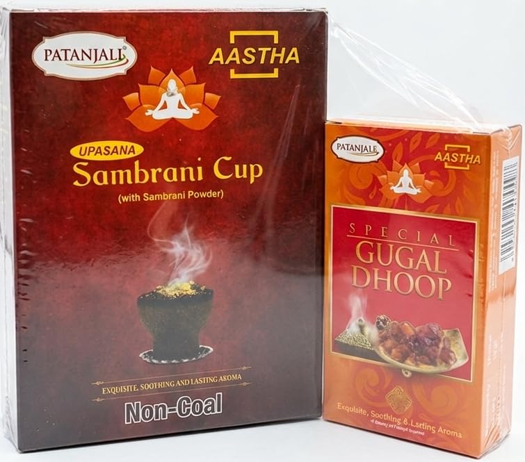 Patanjali Sambrani Cup with Free Special GUGAL Dhoop - Pack of 2 - HAWAN Cup-image-31