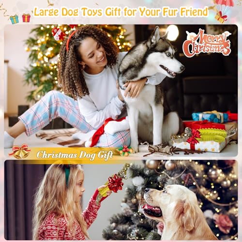 Image of Jeefome Indestructible Dog Chew Toys for Aggressive Chewers - Boredom and Stimulating Dog Toys for Small /Medium /Large Breed for Teeth Cleaning and Training