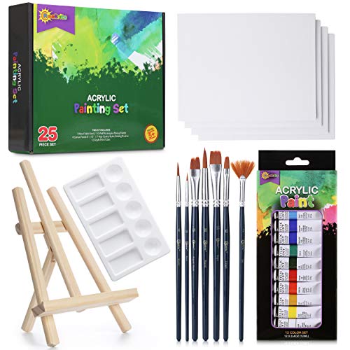 RISEBRITE Acrylic Paint Set with Canvas  25Pcs Painting Kit Includes Mini Easel, Premium Painting Supplies, Brushes, Art Canvases and More | Painting Set for Kids, Beginners, or Budding Artists