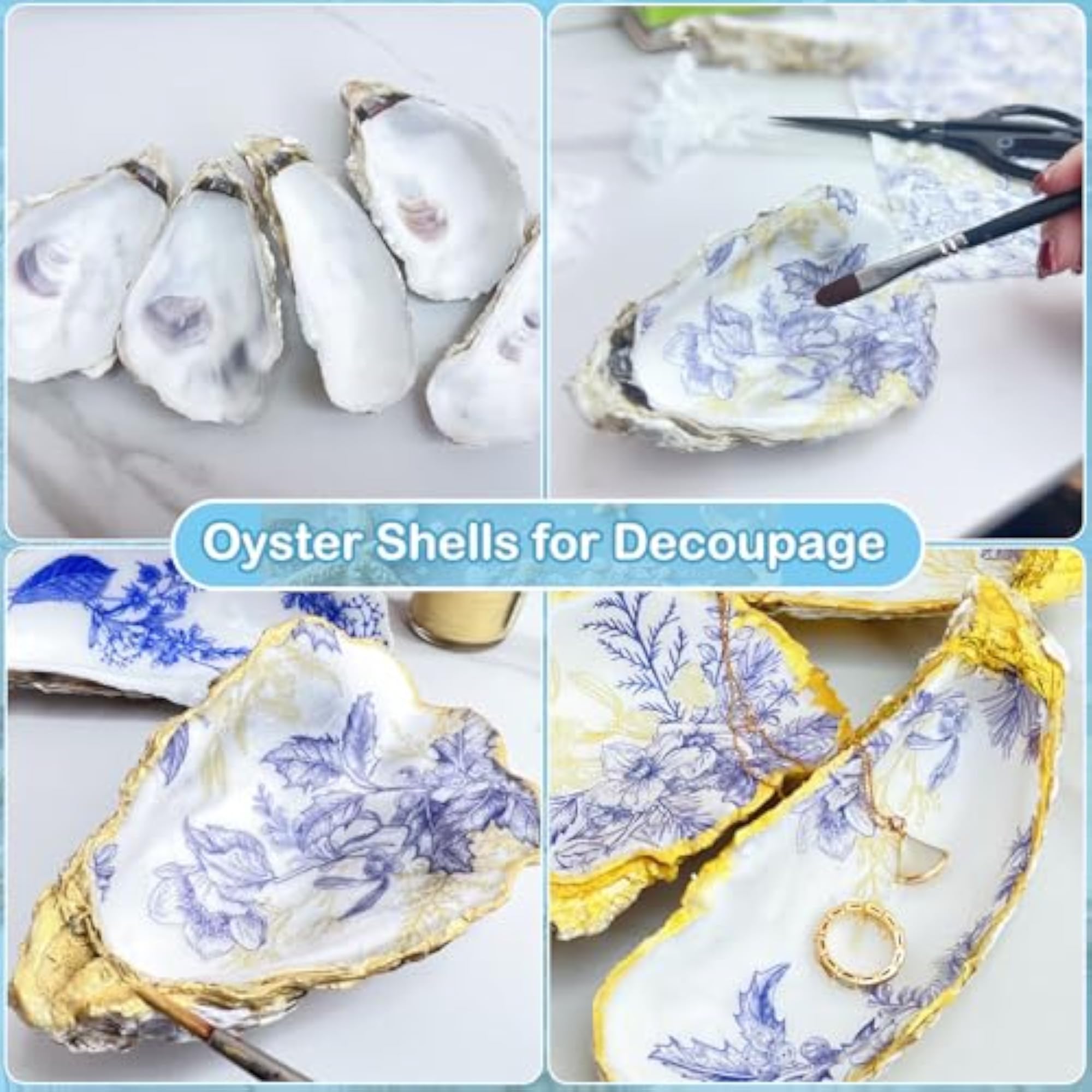 Extra Large Shells for Crafts, 12 Pcs Set