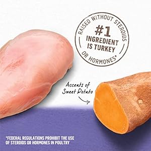 Purina Beyond Turkey and Sweet Potato Grain Free Wet Dog Food Ground Entree  pack of 12 13 Oz Cans  Cucciolini Doodles Purina beyond turkey and sweet potato grain free wet dog food ground entree  pack of 12 13 oz Cans   cucciolini doodles