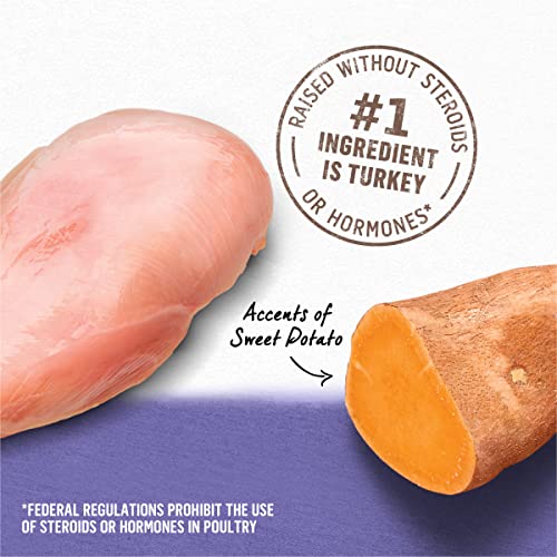 Purina Beyond Turkey and Sweet Potato Grain Free Wet Dog Food Ground Entree  pack of 12 13 Oz Cans  Cucciolini Doodles Purina beyond turkey and sweet potato grain free wet dog food ground entree  pack of 12 13 oz Cans   cucciolini doodles