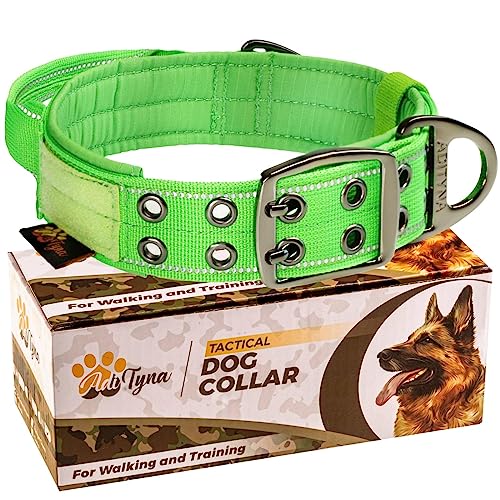 Collier robuste chien en nylon épais ADITYNA rembourré de qualité supérieure vert large - 2