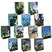 Dinosaur Favors Bags for Kids Boys and Girls Dinosaur Party Bags 24 Pack Party Supplies Paper Bags Jurassic World Dino Gift Bag Goody Bags