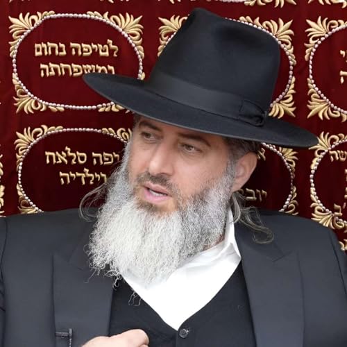 הרב רונן שאולוב cover art