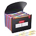 Expanding Files Folder Organizer 24 Pockets/Expandable Accordian File Organizer Bag A4/Letter Size Plastic Filing Box, Accordion Document/Coupon/Receipt Organizer with Colored Labels for Office/School