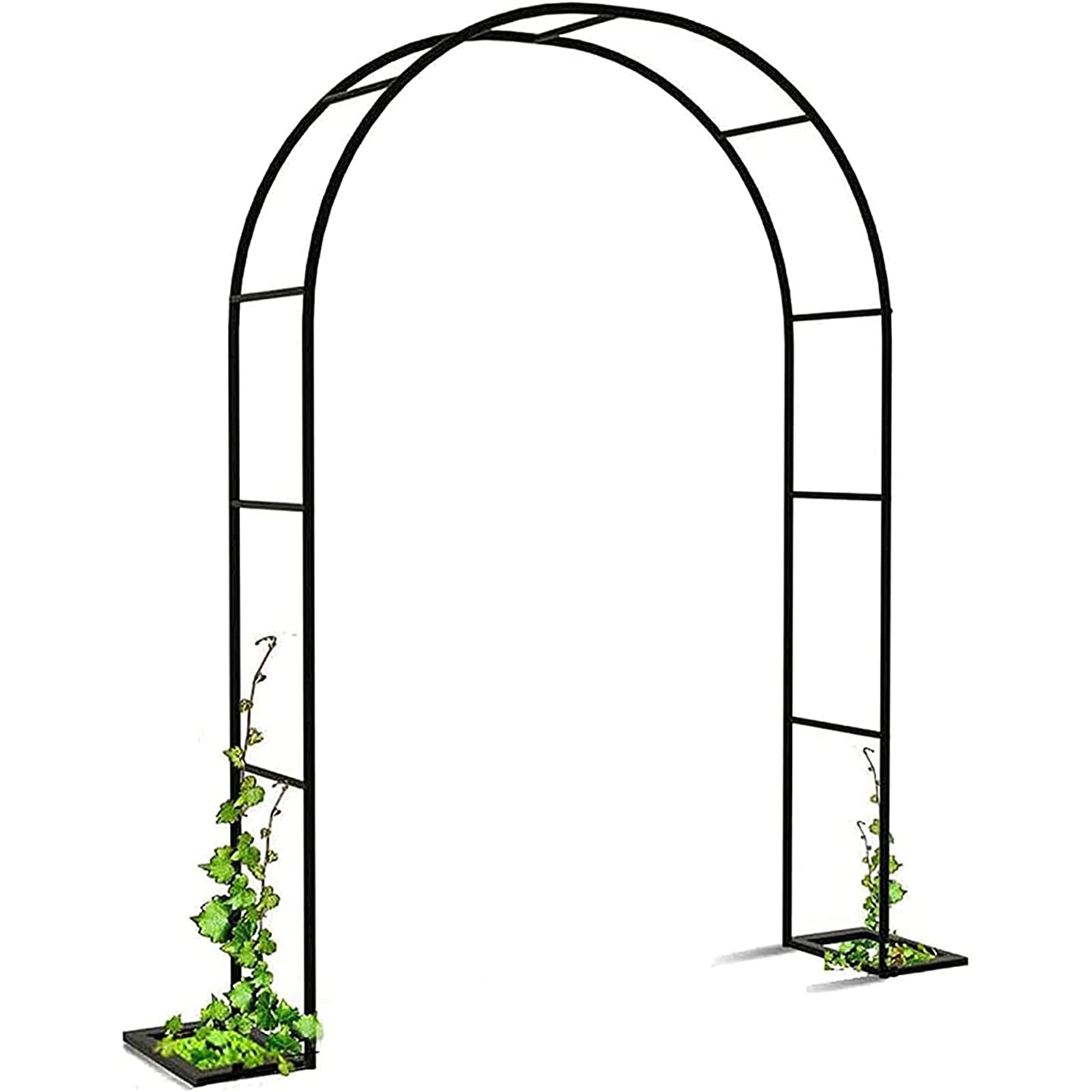 Arche de jardin en métal noir treillis robuste pour plantes
