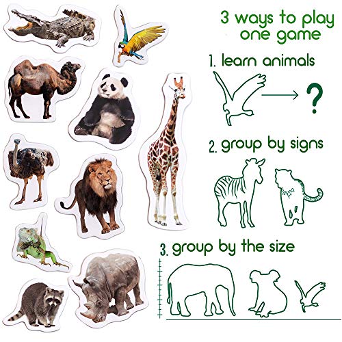 19 Fridge Magnets For Toddlers Magdum - Zoo Photo Kids Magnets For Fridge - Toddler Magnets For Refrigerator - Magnetic Animals - Fridge Magnets For Kids - Animal Magnets - Toddler Fridge Magnets #TOP3