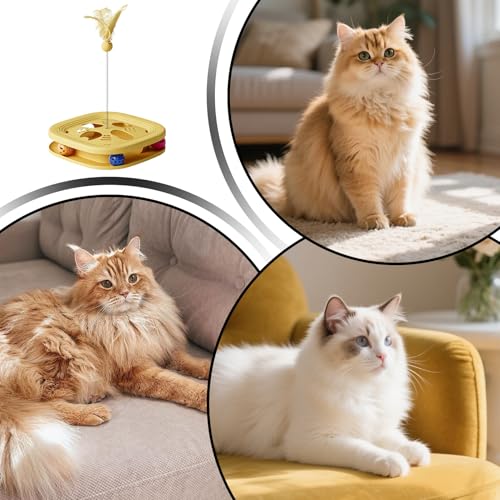 Juguetes Puzzle para gatos con caña de plumas antideslizante y pista de bola 6