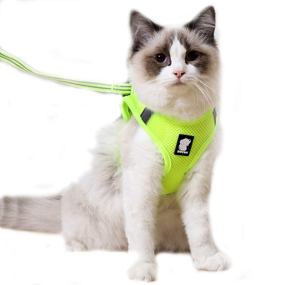 Fruit Green N/A Cat Harness And Leash, Reflective Escape Proof Kitten Harness Adjustable Breathable Mesh Padded Vest Harnesses For Pet Cat Outdoor Walking (Xs, )