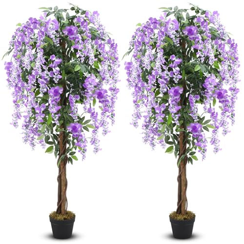 Thiccywoov 5ft Purple (2 Pack)