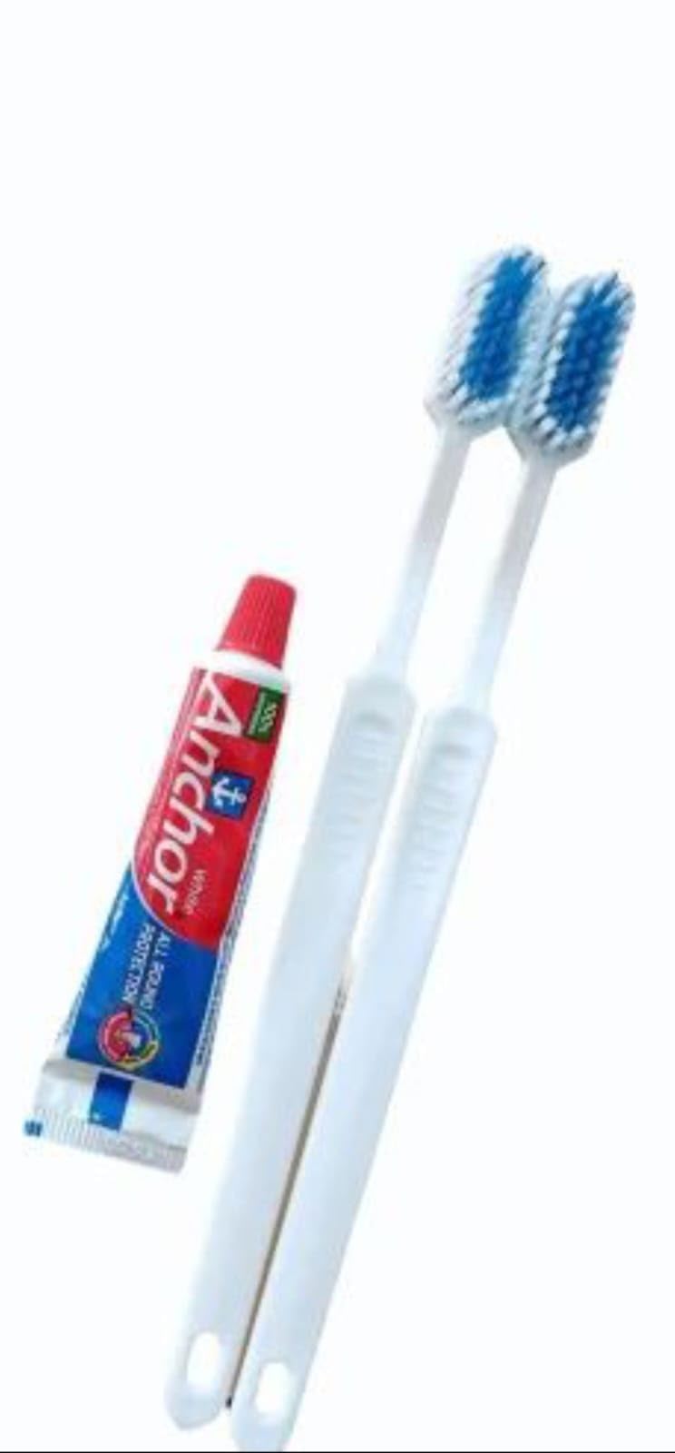 PRAKARTI Hotel Dental Kit twin toothbrushes and 1 toothpaste (Set of 100)