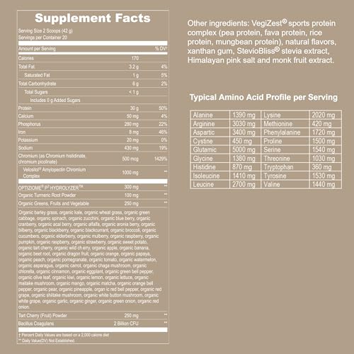 UpNourish Vegan Sport Protein Powder