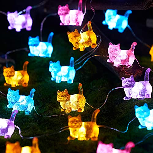 Jashika Cat Décor Cute Indoor String Lights Fairy Lights Plug In Decorative Lights 10Ft 30Led Battery Operated Or Usb For Bedroom Kids Tent Camping Christmas Tree Ornaments #TOP3