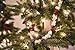 CraftMore Popcorn and Cranberry Plastic Garland