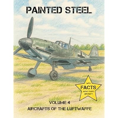 Painted Steel - Aircrafts of the Luftwaffe: Bringing History to Life