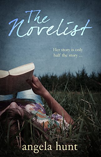Bargain eBook - The Novelist