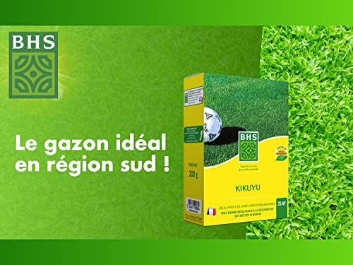 Gazon BHS Kikuyu semence pelouse méditerranéenne thermorésistante KIK300 - 3
