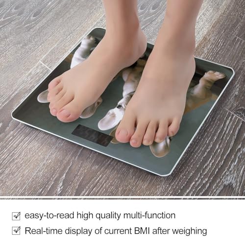 Báscula digital de baño para peso corporal miniatura 5