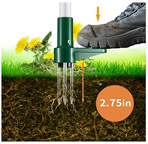 The Weeder - Stand-Up Weed Puller Tool, 42 Inch Lightweight Metal Design, Removes Thistle, Dandelions & Crabgrass (2 Lbs) - View #4