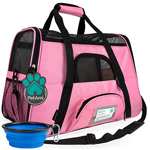 Best Carriers For Bunnies at Vincent Miller blog