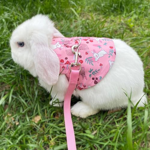 Image of 2Pcs Rabbit Harness and Leash Set Soft Adjustable Clothes for Bunny Guinea Pigs Chinchillas Small Pets Walking Harness Small Rabbits Outdoor Camping Hiking Training (M)