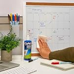 Expo Dry Erase Whiteboard Cleaning Spray, 8 oz (256 mL)
